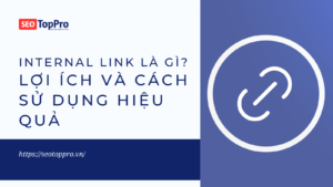 Internal Link Là Gì? Lợi Ích Và Cách Sử Dụng Hiệu Quả